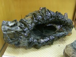 Про фульгурит повеселило...
Фульгуриты (англ. Fulgurite)    полые трубки в песках, состоящие из переплавленного кремнезёма, и оплавленные поверхности на обнажениях пород, образовавшиеся под действием разряда молнии. Внутренняя поверхность гладкая и оплавленная, а наружная образована приставшими к оплавленной массе песчинками и посторонними включениями. Диаметр трубчатого фульгурита не более нескольких сантиметров, длина может доходить до нескольких метров, отмечались отдельные находки фульгуритов длиной 5-6 метров.