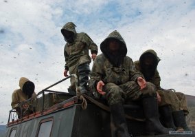 Попробуй не почешись на этой Чукотке