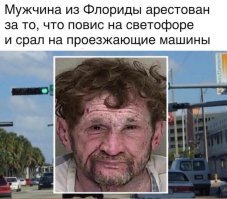 Прикольные и смешные картинки