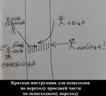 Вот как надо переходить дорогу! Людям есть чему поучиться