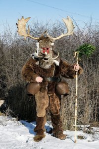 В Сибири таких красавцев запросто подстрелят в тёмное время.