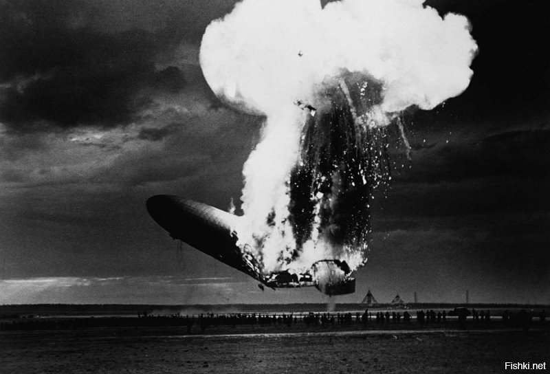 Прикольные и смешные картинки