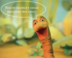 Мужчины спасли бездомного пса от анаконды