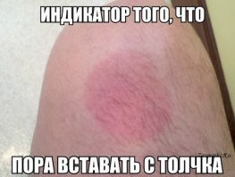 Прикольные и смешные картинки