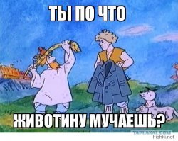 Мужчины спасли бездомного пса от анаконды