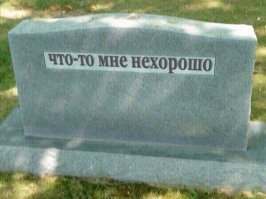 Прикольные и смешные картинки