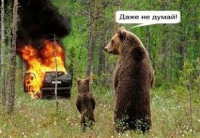 Давненько не было темы про медведа и горящей машины.