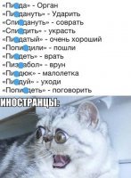 а где:
пи*дец - неприятная неожиданность
упи*довал/попи*довал - неохотно побрел
пи*дюли - удары
опи*дюлиться - самостоятельно начать драку с внезапно превосходящим по силе противником
остопи*дело - надоело
пи*добля*ство - неконтролируемая деградация системы
распи*дяй - не пытающийся учиться ученик
пи*дун - лгун
пи*данутый - глупый
пи*дюшка - запчасть/крепежный элемент
пи*дюлина - инструмент
тупая пи*да - глупая женщина
пи*день - недостоверная информация
упё*дывай - уходи
выпи*день - нехороший человек
до пе*ды - не важно
тебе пи*да - тебе конец