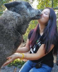 Это не фотошоп. Зверя зовут Юки. Просто фоткали в таком ракурсе.