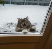 На мой взгляд, этот самый лучший.