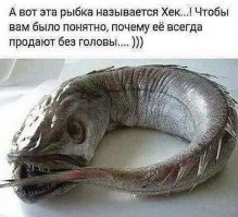 С миру по нитке