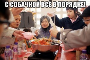 В Китае собака утопила хозяйский автомобиль в пруду