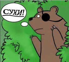 Любопытный медведь забрался на автомобиль