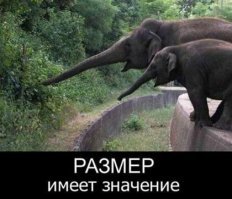 Прикольные и смешные картинки