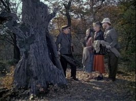 Но если ты в дупло полез, перед тобой волшебный лес!