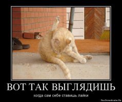 Смешные комментарии и картинки из соцсетей