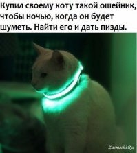 Прикольные и смешные картинки