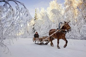 ТЕМ ВРЕМЕНЕМ ПОД КОСТРОМОЙ