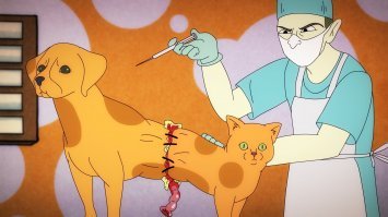 Котопес - начало :
