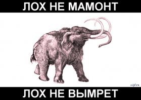 Мошенничество на продаже вещей за границу!