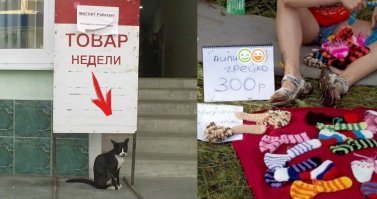 15 объявлений, прочитав которые, хочется аплодировать стоя