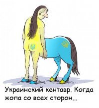 Прикольные и смешные картинки
