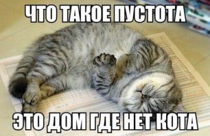 Берегите своих питомцев, гладьте их, кормите вкусняшками, играйтесь с ними. Мне пришлось своего 16-и летнего усыпать этим летом, я просто сидел в машине вы выл от горя, после того как все было сделано. Мне до сих пор  тяжело без него. И очень не хватает его "Мяу"