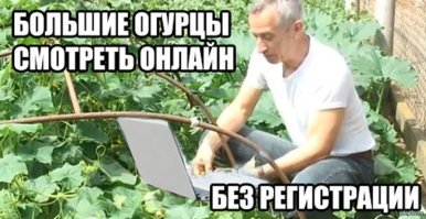 15 объявлений, прочитав которые, хочется аплодировать стоя