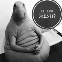 Терпение: вот уж чего, а этого в избытке