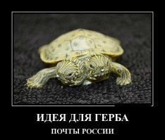Терпение: вот уж чего, а этого в избытке