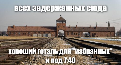В "Домодедово" задержаны около 40 граждан Израиля