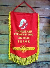 А каким ударником был бы ты: 20  советских знаков,  которые выдавали за особые заслуги
