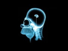 Во, смотри!!! Рентген мозга типичного водятла!