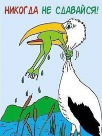 Коротко о статье