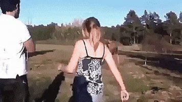 Лось и олень.