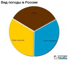 Русский дрист