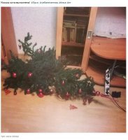 Потому что....