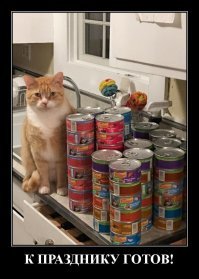 Валерьянки не видно...