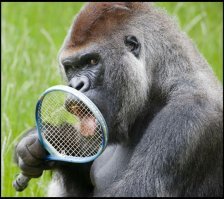 Демократический допинг