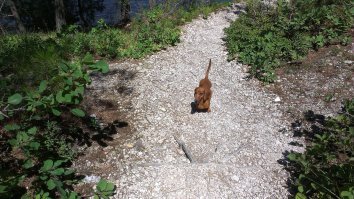 все фото - снято лично, либо сыном.