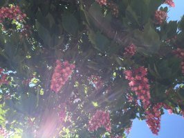 Поддержу почин.
Запощу несколько фото.
Снято лично, г.Новороссийск, и окрестности с.Дивноморское
2018 год
.