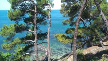 все фото - снято лично, либо сыном.