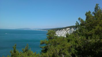 все фото - снято лично, либо сыном.