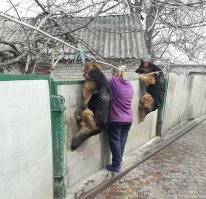 поддерживаю.
.