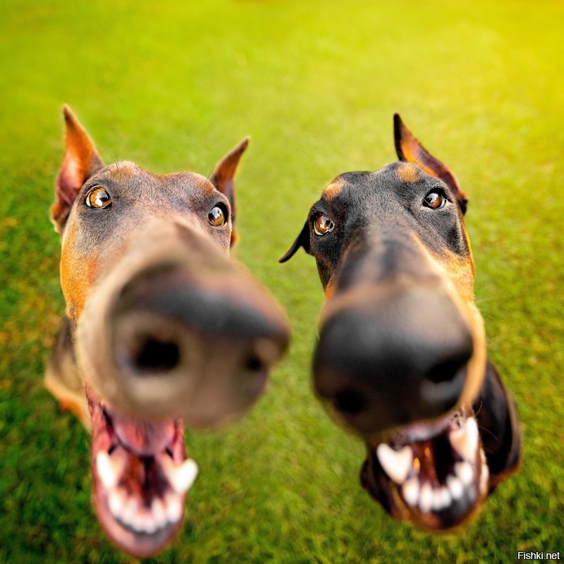 думаю, песенка как-то приурочена к объединению Германий, и красный шарик символизирует СССР 
.
что же до автора....
думаю, автор просто запостил клип с девочкой-мечтой из его молодости, и не более...
ПРАВДА ВЕДЬ, АФФТАР ?
.