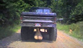 Нет, мошОнки у таких обычно приспущенные: