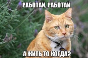 В таком возрасте на помощника повара потянет... Может он думает, что его доброта на том свете зачтётся. А бездомные могли бы легально заняться самообслуживанием. Источник есть...