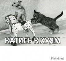 Одной из них неймется