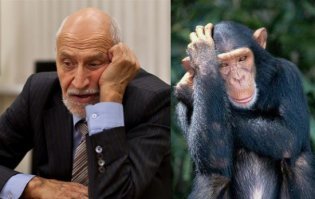 Джигит на Приоре попал в ДТП на пешеходном переходе