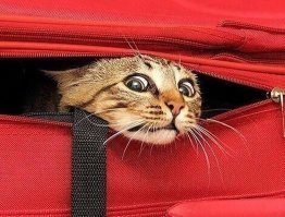 А чё, мы границу уже пересекли!?